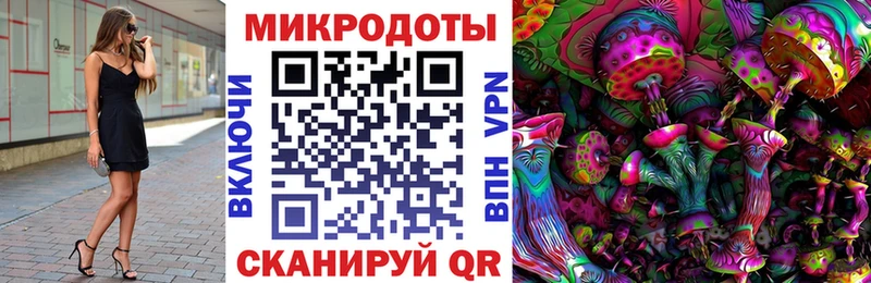 магазин  наркотиков  Самара  Галлюциногенные грибы GOLDEN TEACHER 